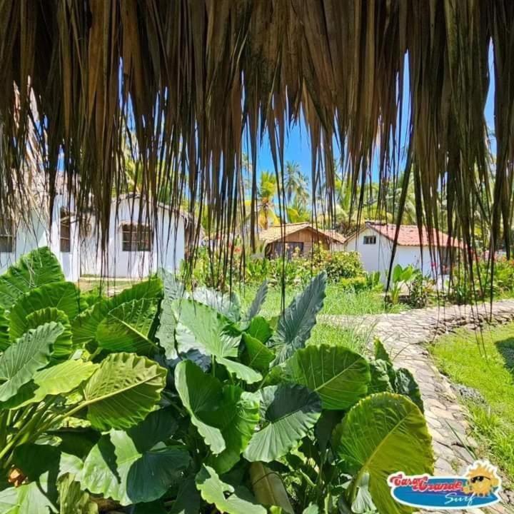 卡萨格兰德冲浪酒店 Guachaca 客房 照片